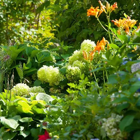 Готель Garni Glockenstuhl Майргофен